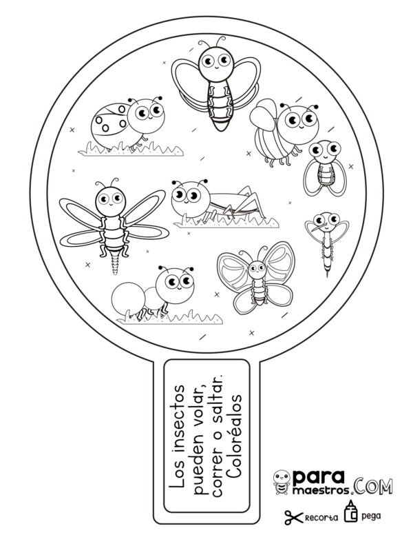 Aprendemos Cosas Curiosas Sobre Insectos Paramaestros