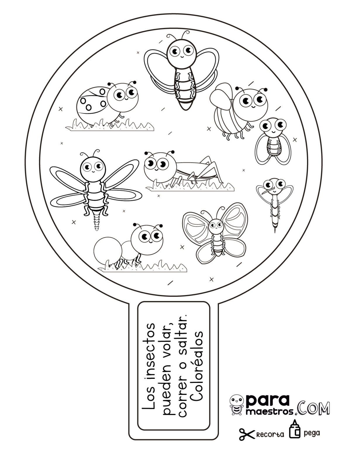 Aprendemos Cosas Curiosas Sobre Insectos聯曆 – Paramaestros